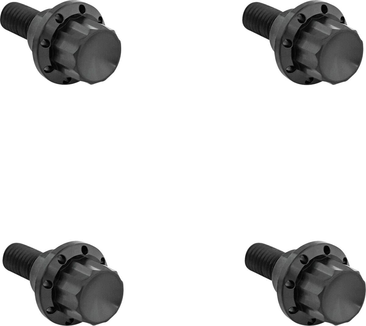 Arlen Ness Windshield Titanium 12-Point Bolt Kit Black Titanium Kit 300-810
