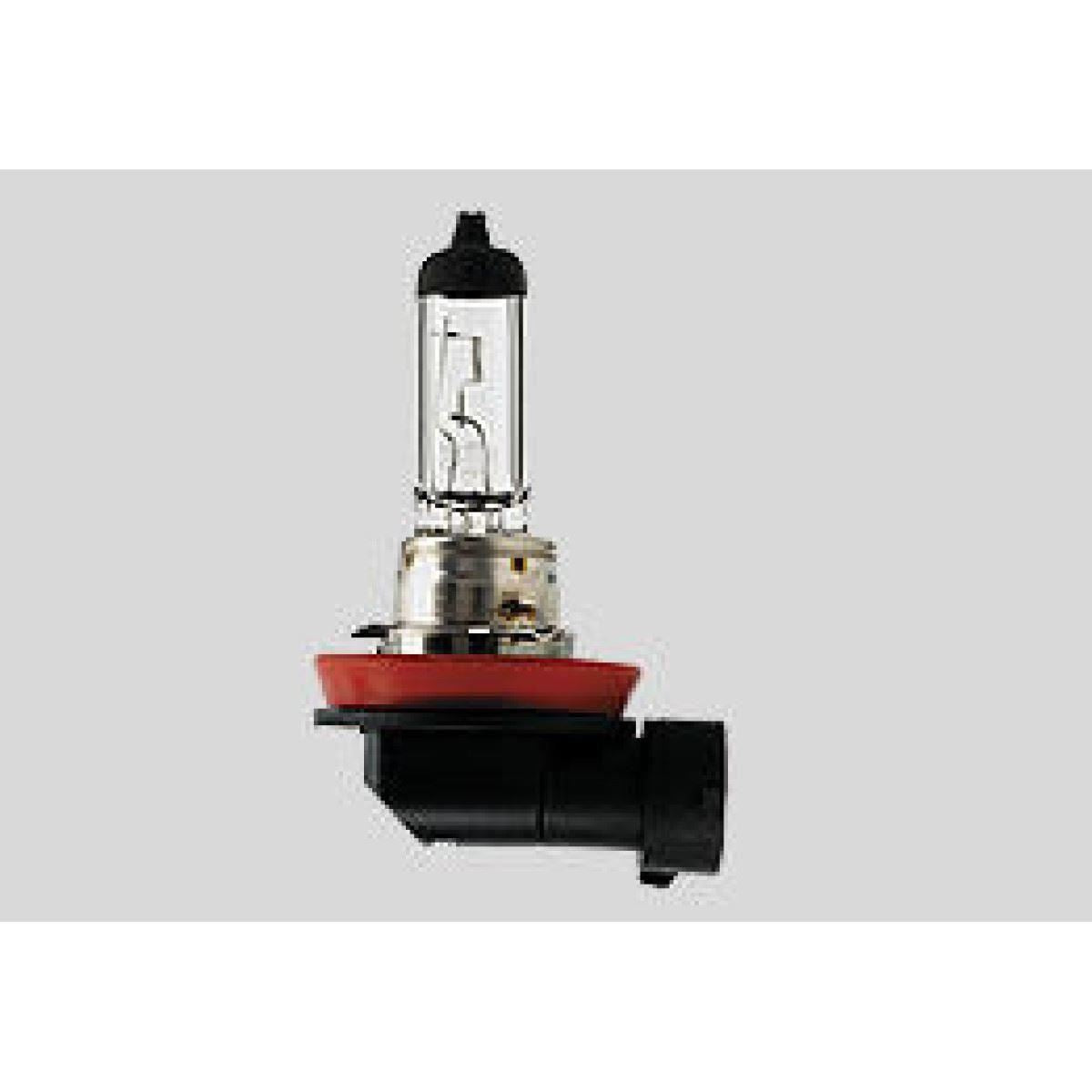 Halogen Headlight Bulb H11 12V 55W PGJ19-2 Motorcycle Quad UTV