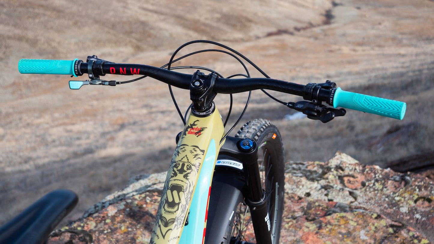 ALL MOUNTAIN STYLE Frame Guard Extra Protection CLR/BEAR AMSFG2CLBE