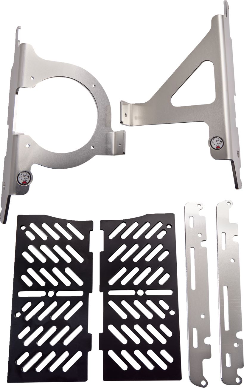 AXP RACING Xtrem Radiator Guards For BFETA 125-300 20-23 AX1583