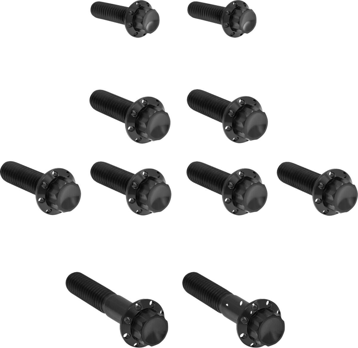Arlen Ness Side Cover & Trap Door Titanium 12-Point Bolt Kit 300-984
