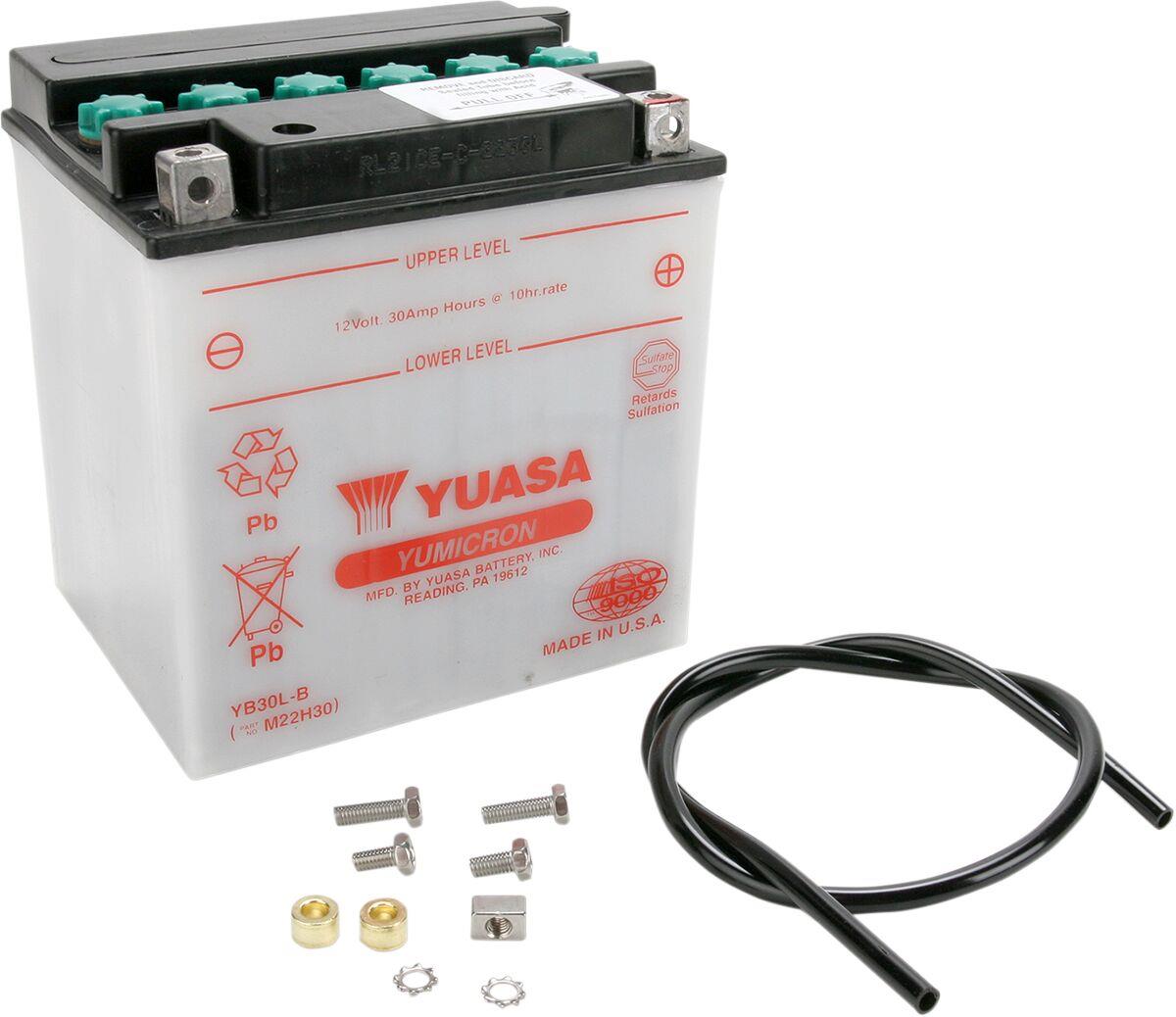 Yuasa Yumicron Battery For Harley Davidson FLHRXS 1868 1997-2024 YB30L-B(DC)