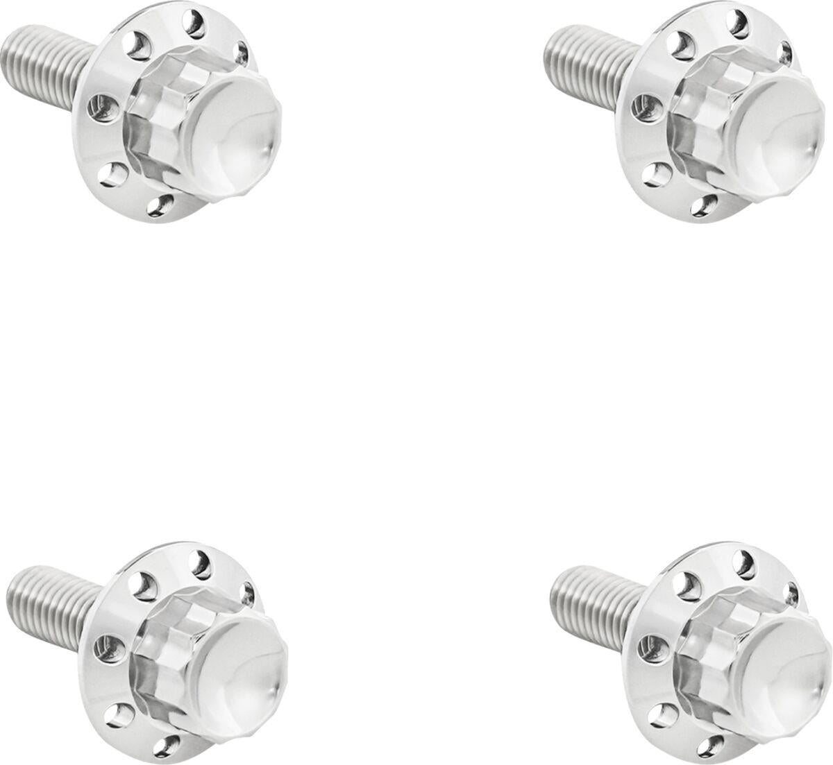 Arlen Ness Titanium 12-Point Windshield Bolts Silver Polished Titanium 300-815