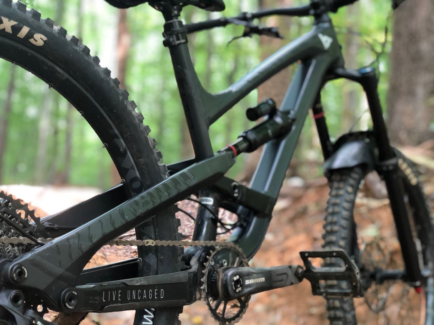 ALL MOUNTAIN STYLE Frame Guard Extra Protection CLR/BEAR AMSFG2CLBE