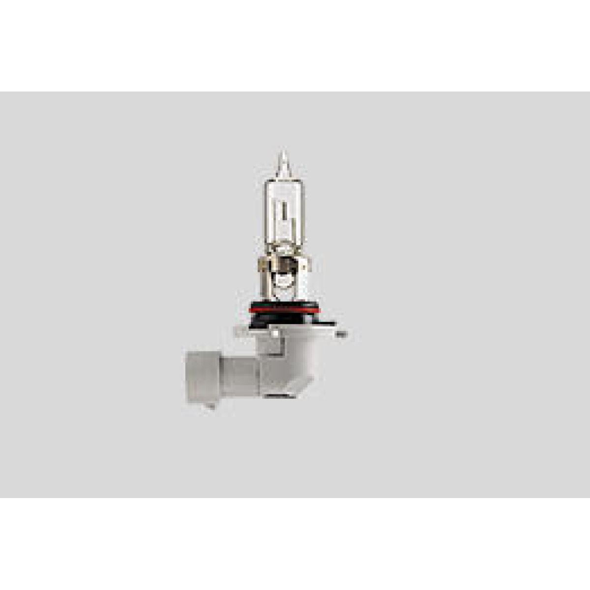 Halogen Headlight Bulb HB3 12V 60W P20D Motorcycle Quad UTV
