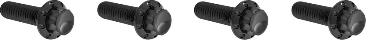 Arlen Ness Transmission Top Cover Titanium 12-Point Bolt Kit Black 300-978