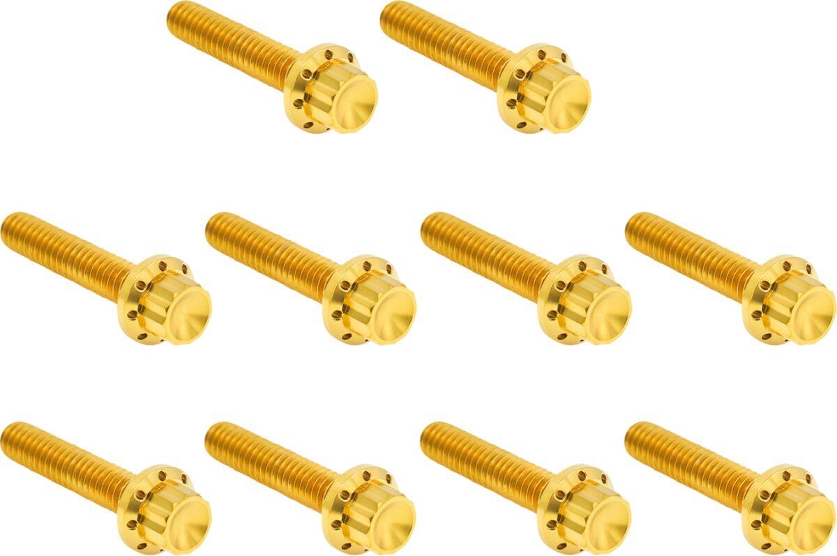Arlen Ness Cam Cover/Point Cover Titanium 12-Point Bolt Kit Gold 300-988