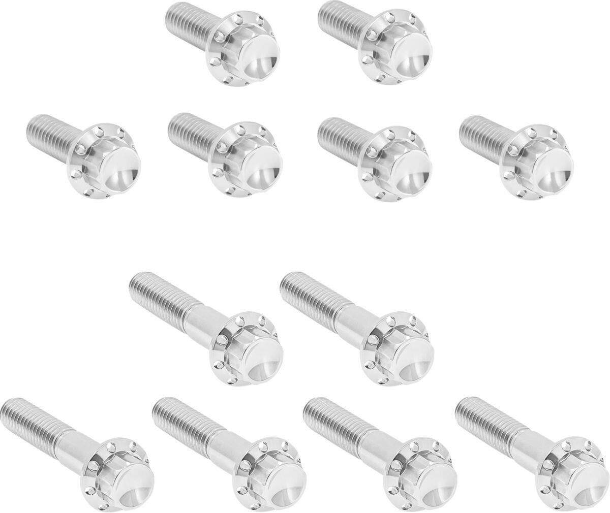 Arlen Ness Rocker Box 12-Point Titanium Bolt Kit Silver Polished 300-992