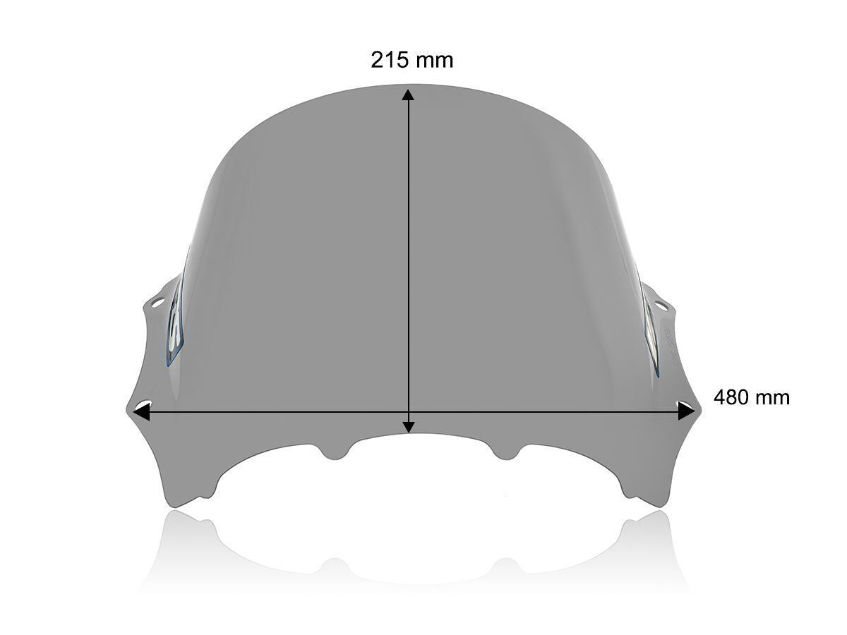 WRS Windscreen Race M 1000 RR Dark Smoke BM100F