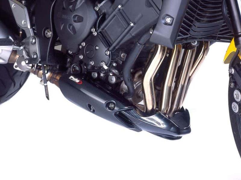 Puig Engine Spoiler Carbon Look 5991H
