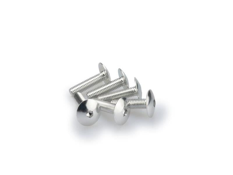 PUIG M6 Domed Screws 25mm x 6 Silver Universal 0689P
