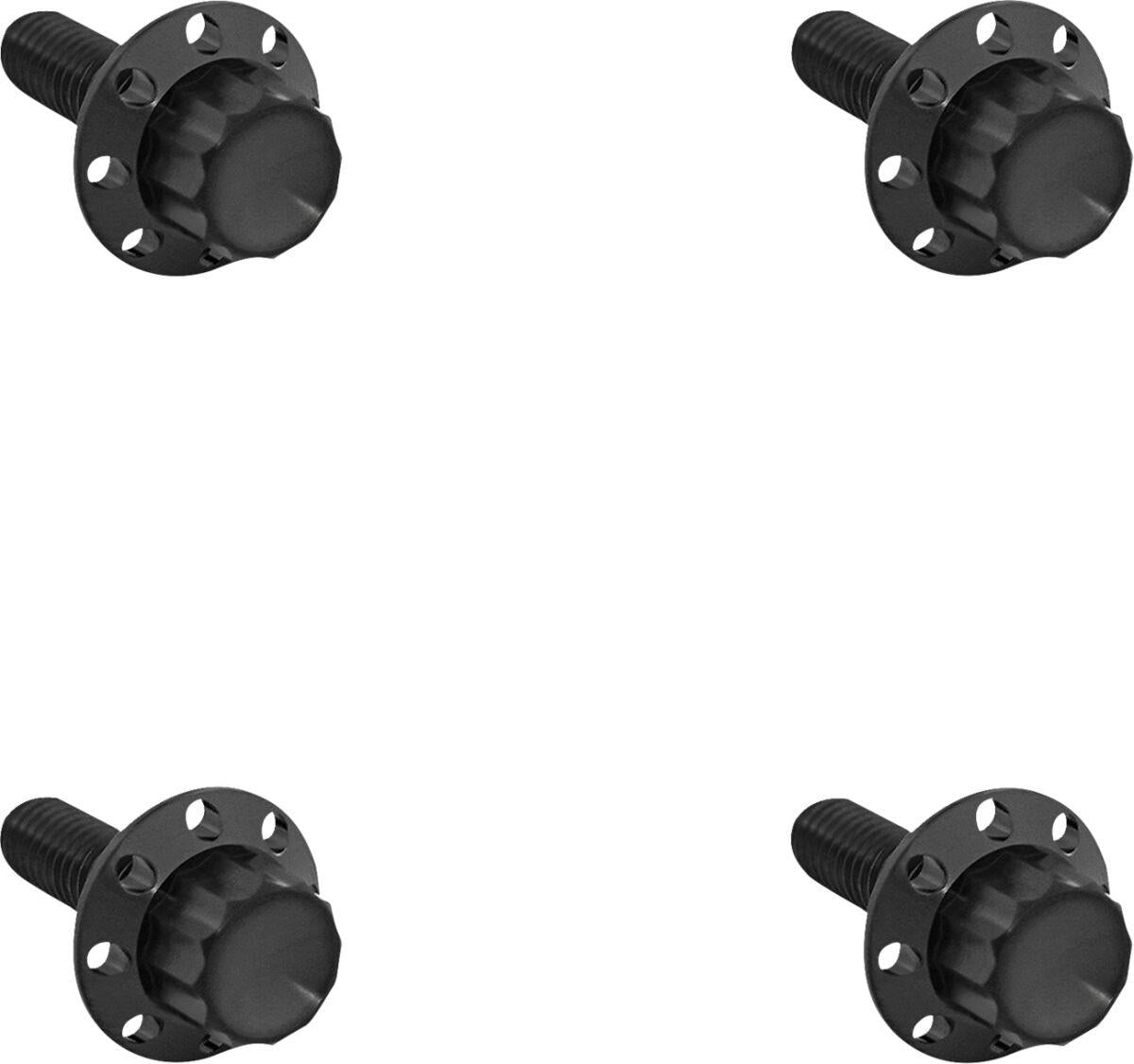 Arlen Ness 12-Point Windshield Bolt Kit Black Titanium Kit 300-840