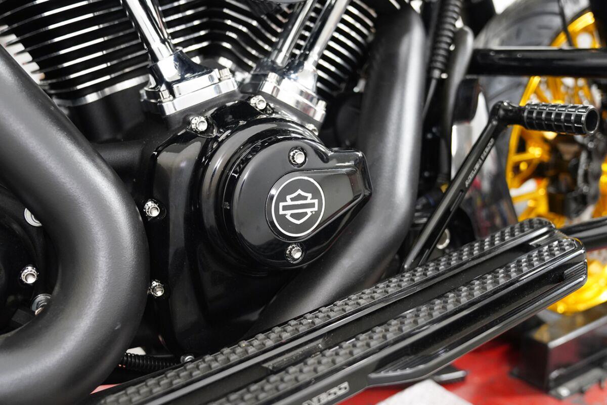 Arlen Ness Cam Cover/Point Cover Titanium 12-Point Bolt Kit 300-980