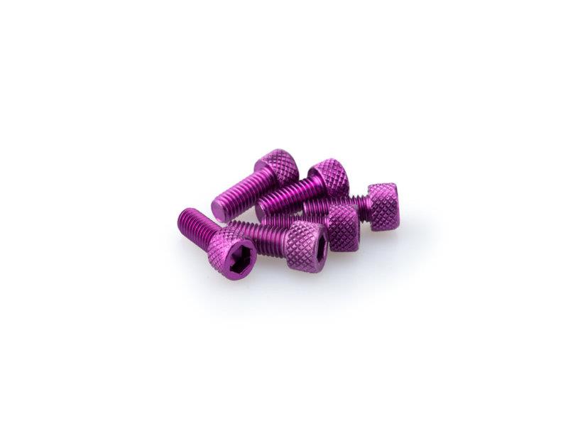 PUIG M5 15mm Allen Screws x 6 Purple Universal 0363L
