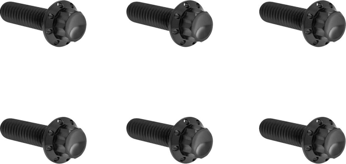 Arlen Ness Transmission Top Cover Titanium 12-Point Bolt Kit Black 300-948