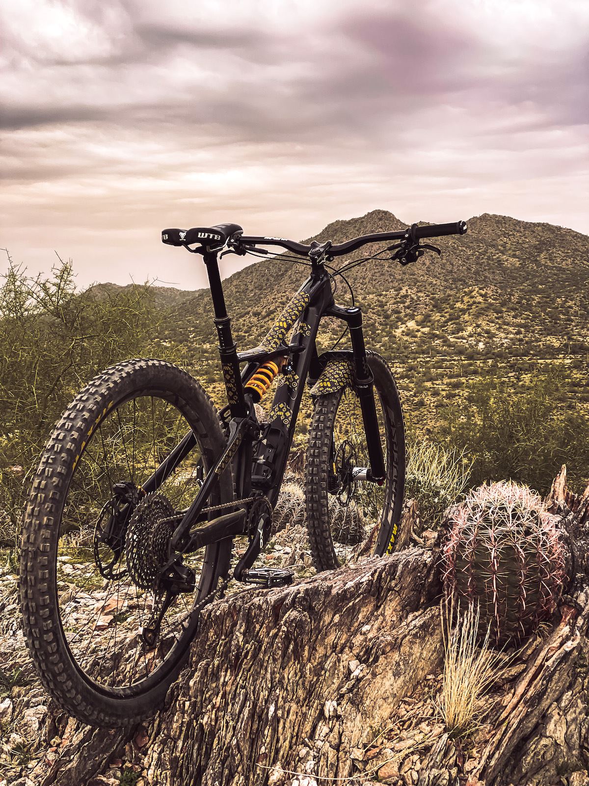 ALL MOUNTAIN STYLE Frame Guard Extra Protection CTR/GLD AMSFG2CUGD