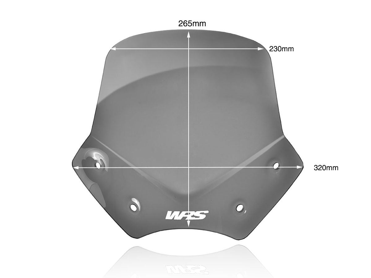 WRS Windscreen Sport BMW R1200r Dsmk Bm046fs