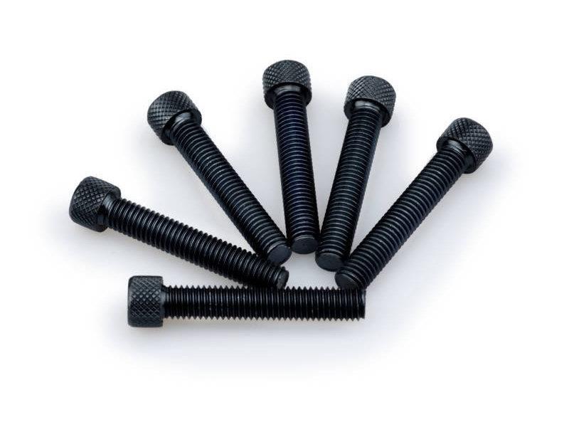 PUIG M8 45mm Allen Screws x 6 Blue Universal 0516A