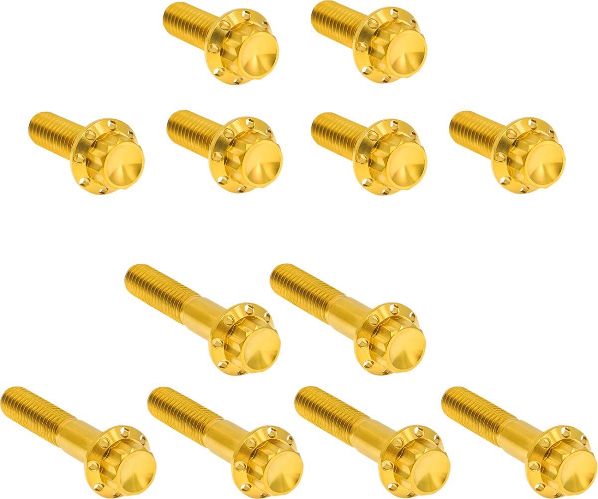 Arlen Ness Rocker Box 12-Point Titanium Bolt Kit Gold Titanium Kit 300-994