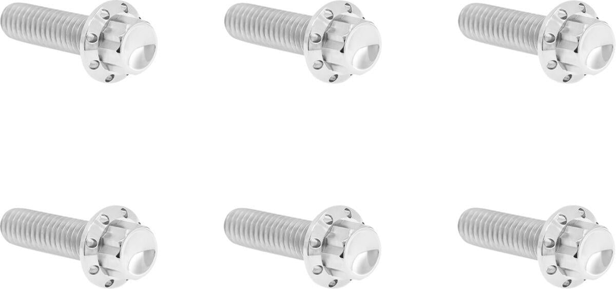 Arlen Ness Transmission Top Cover Titanium 12-Point Bolt Kit 300-947