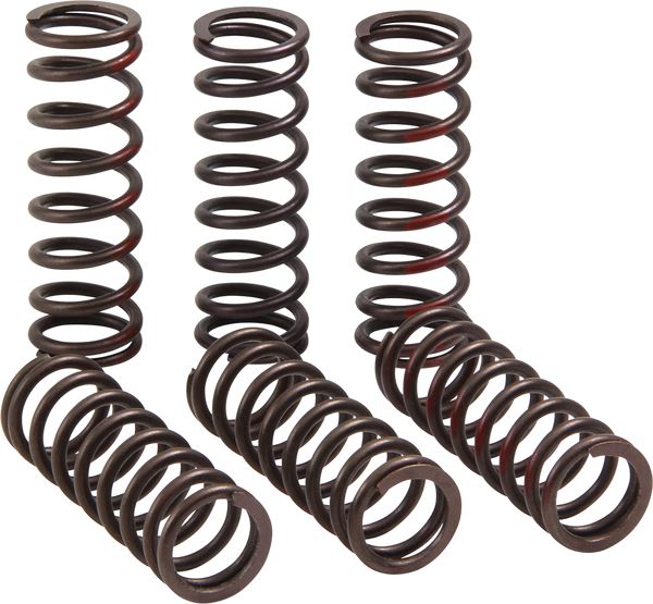 Pro Circuit Clutch Spring Set For Honda CRF 450 R 2021-2024 Set CSH21450-CS