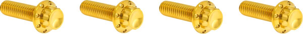 Arlen Ness Transmission Top Cover Titanium 12-Point Bolt Kit Gold 300-979