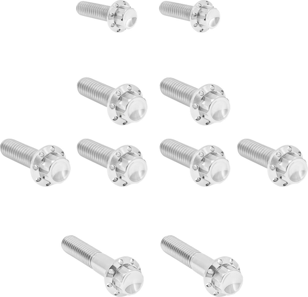 Arlen Ness Side Cover & Trap Door Titanium 12-Point Bolt Kit 300-983