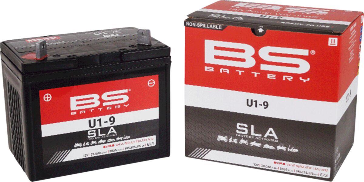 Bs Battery SLA Factory Activated AGM Battery For Yamaha YXE 1000 11-23 300901