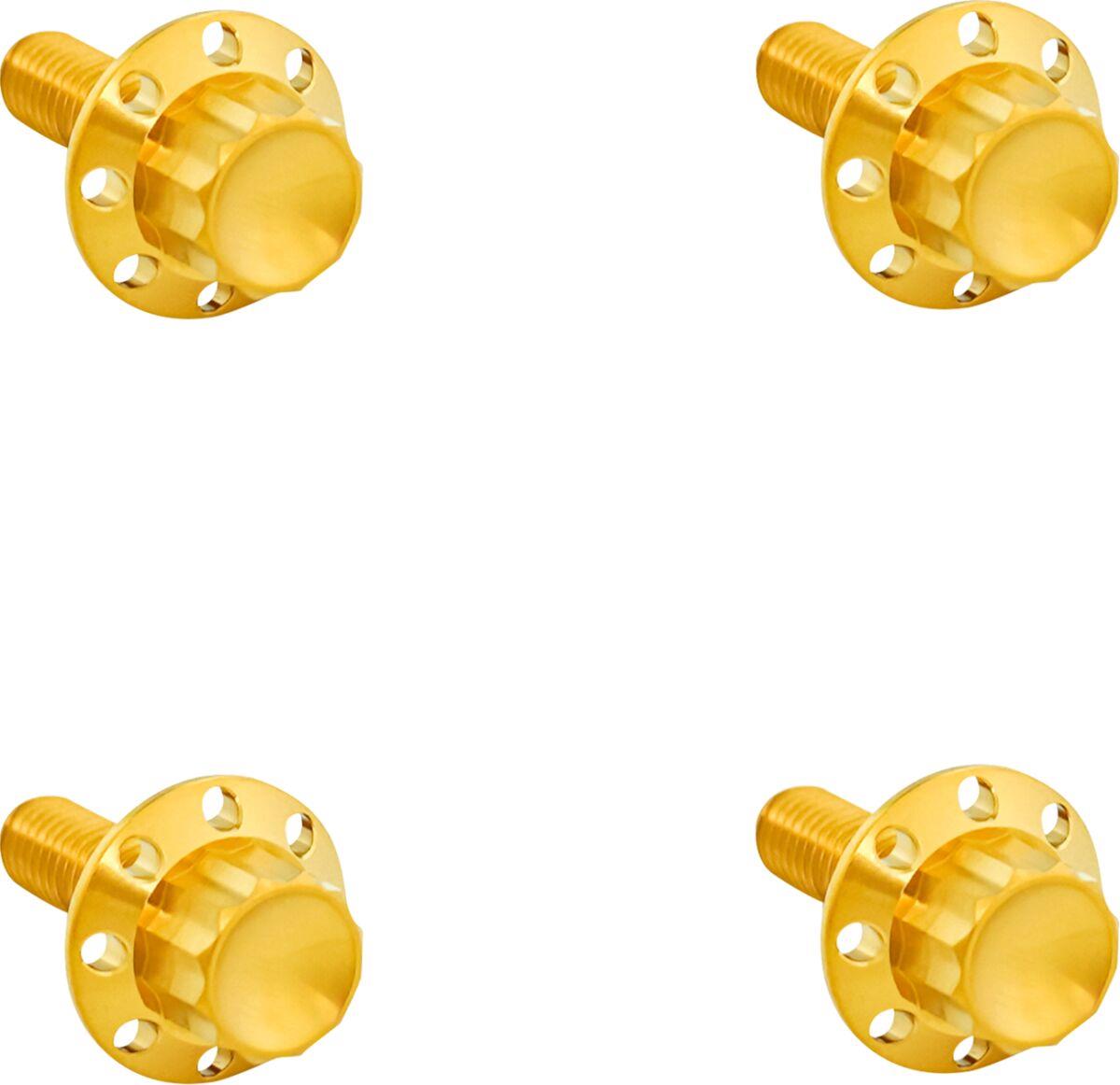 Arlen Ness Titanium 12-Point Windshield Bolts Gold Titanium Kit 300-817