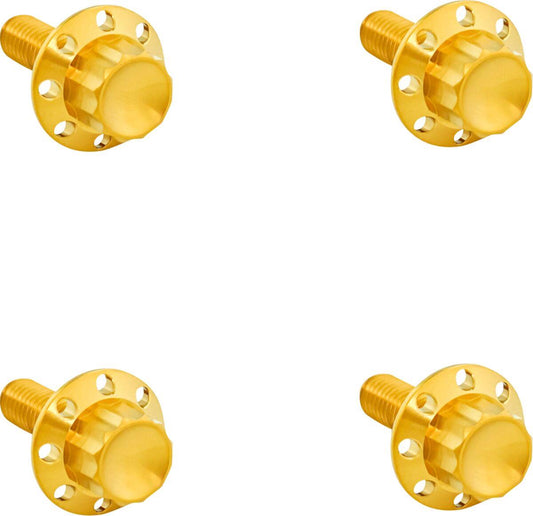 Arlen Ness Titanium 12-Point Windshield Bolts Gold Titanium Kit 300-817