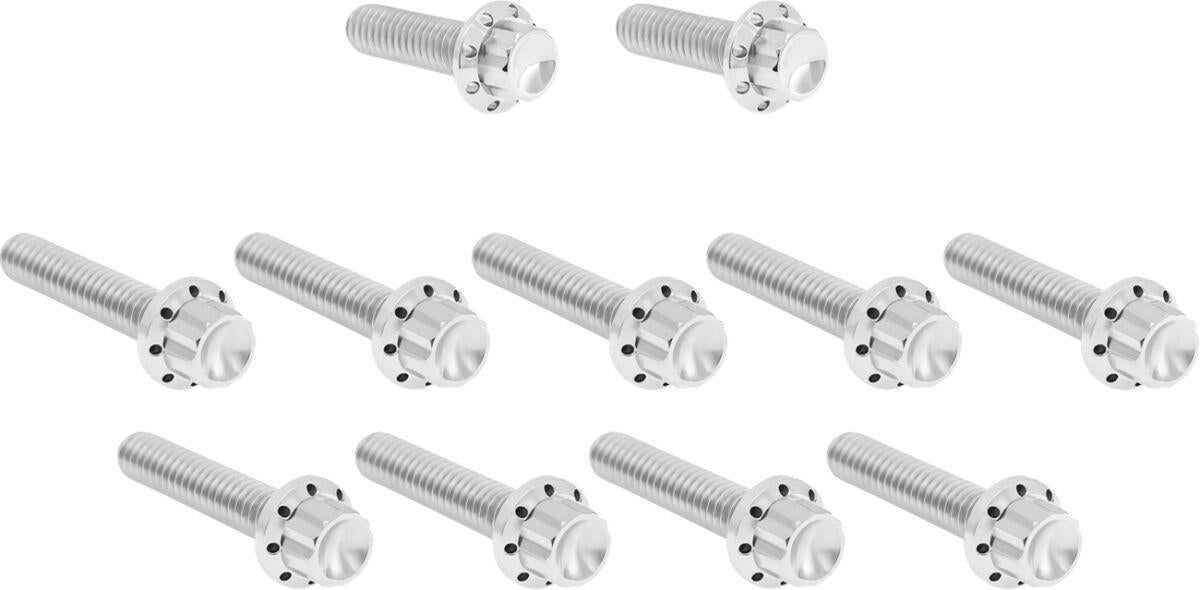 Arlen Ness Cam Cover/Point Cover Titanium 12-Point Bolt Kit 300-980
