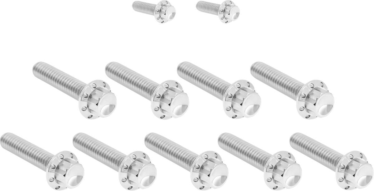 Arlen Ness Cam Cover/Point Cover Titanium 12-Point Bolt Kit 300-932