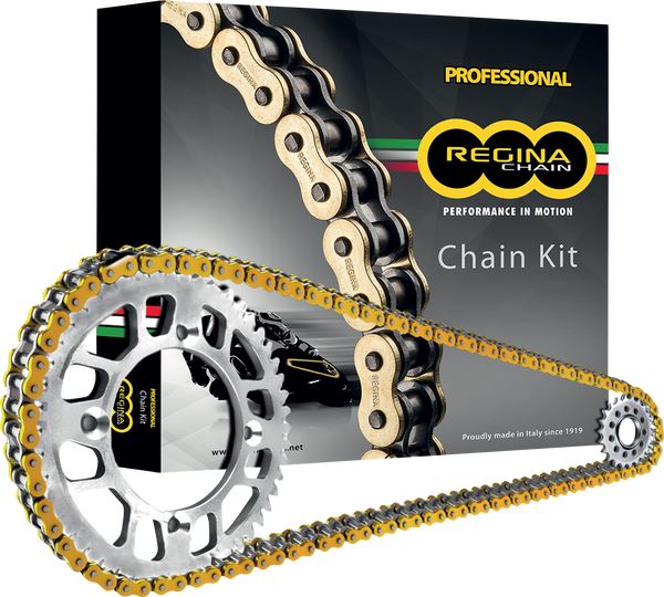 Regina 520 ZRT Chain And Sprocket Kit For Yamaha XV 250 1988-2017 Gold KY098