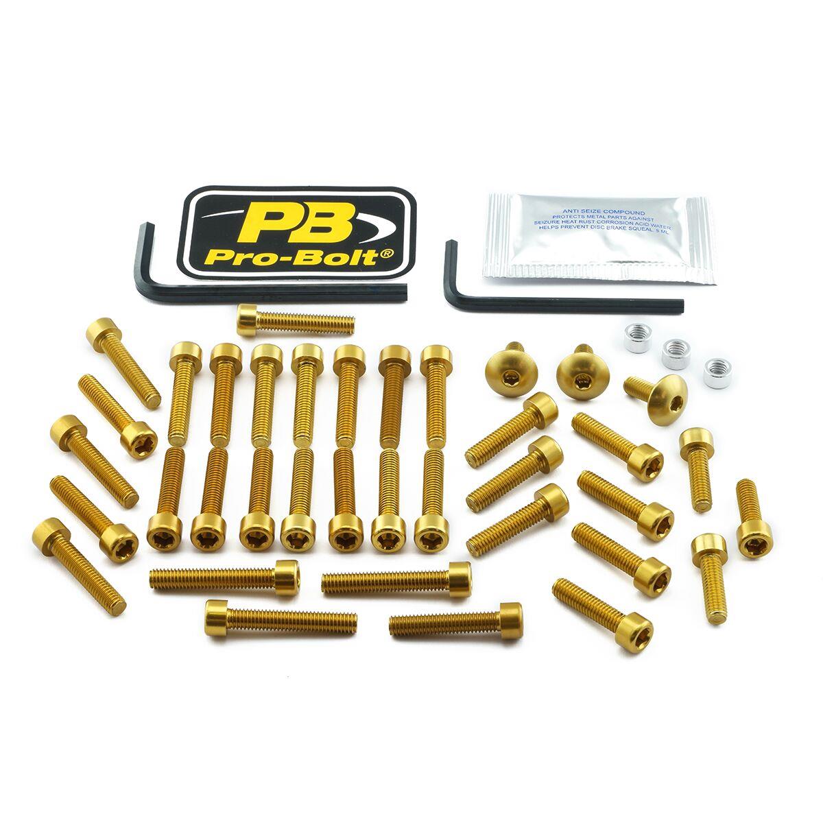 Pro Bolt Aluminium Engine Bolt Kit For Suzuki GSX 1300 BK 2008-2011 ESU210G