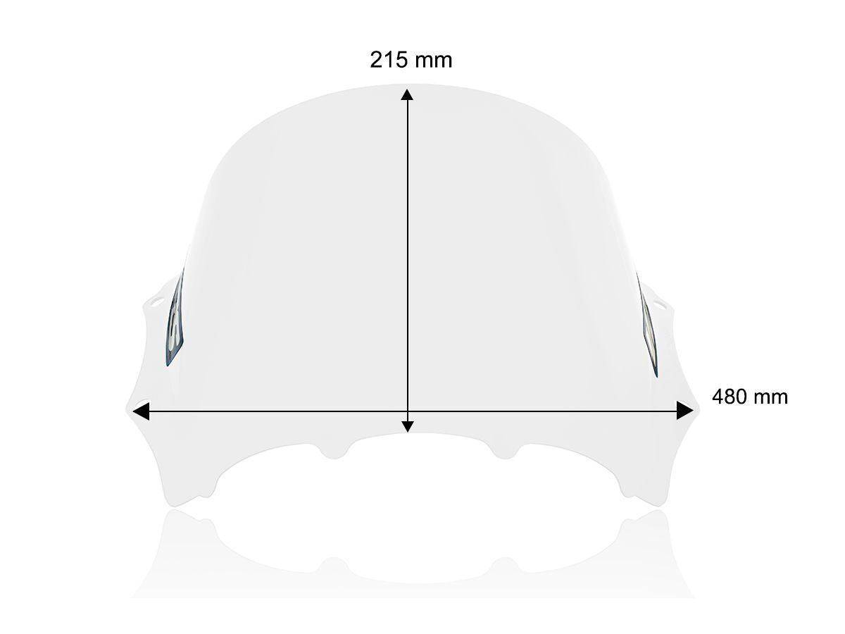 WRS Windscreen Race For BMW M 1000 RR Clear BM100T