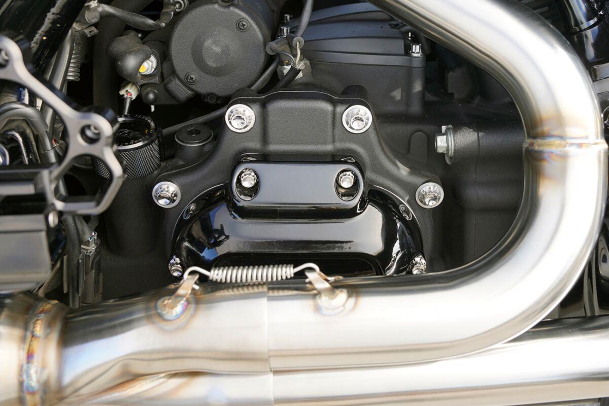 Arlen Ness Transmission Side Cover & Trap Door 12-Point Bolt Kit 300-953