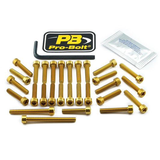 Pro Bolt Engine Bolt Kit For Kawasaki Z 800 2013-2016 EKA237G
