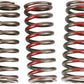 Pro Circuit Clutch Spring Set For Honda CRF 250 R 2010-2017 Set CSH10250-CS