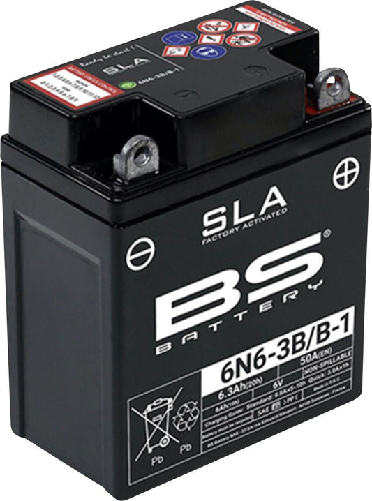 BS Battery SLA Factory-Activated AGM Batteries For Yamaha DT 175 74-96 300917