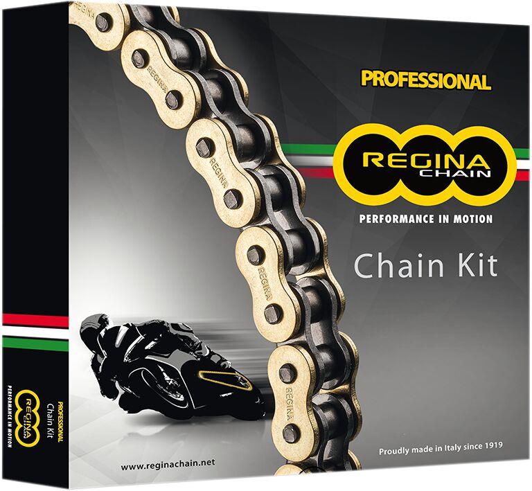 Regina 525 ZRP Chain And Sprocket Kit For MV Agusta Brutale 989 R 08-10 KMV005
