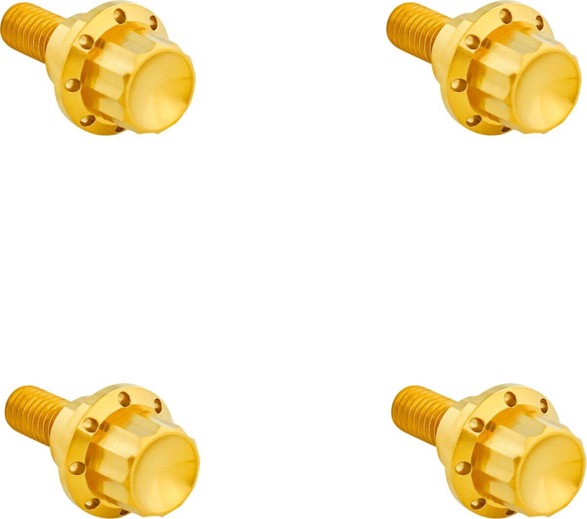 Arlen Ness Windshield Titanium 12-Point Bolt Kit Gold Titanium Kit 300-811