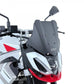 WRS Windscreen For Aprilia Tuono 457 2025-2026 Matte AP020NO