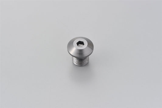 Daytona Mirror Plug Bolt M10x1.25 Gray Aluminum Right CNC Hole Plug 99618