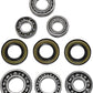 Epi Differential Bearing/Seal Kit For Yamaha YFM 700 GP 4X4 2007-2018 WE290139
