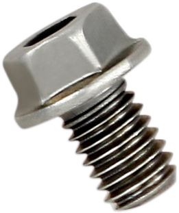 Akrapovic Replacement Exhaust Bolt SS P-FB40