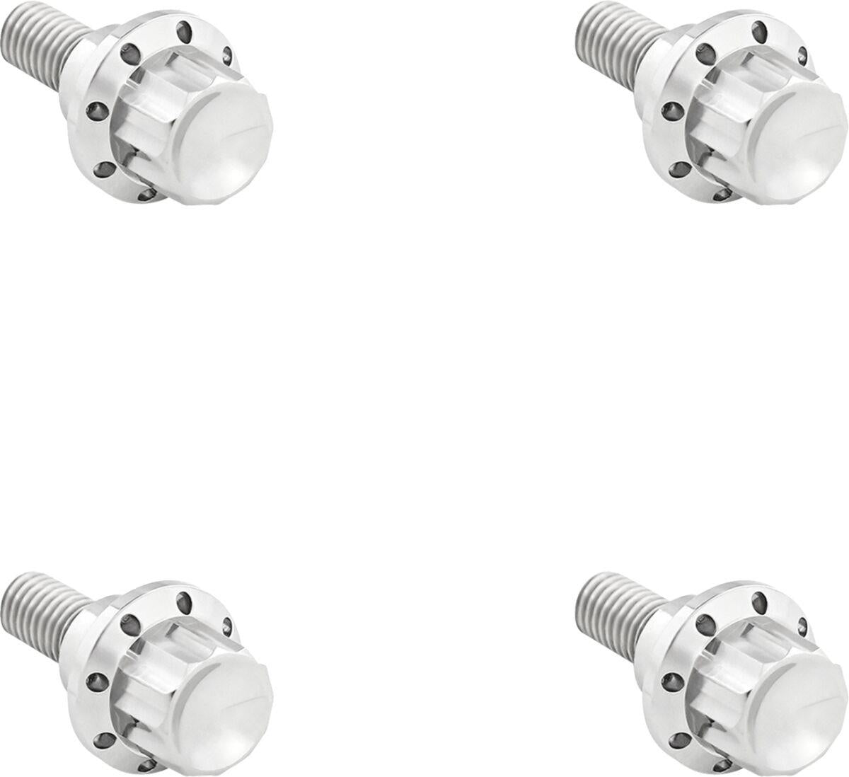 Arlen Ness Windshield Titanium 12-Point Bolt Kit Silver Polished 300-809