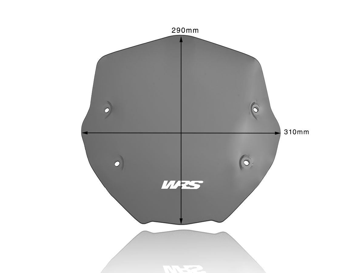 WRS Windscreen Sport BMW R1250r Dsmk Bm056fs