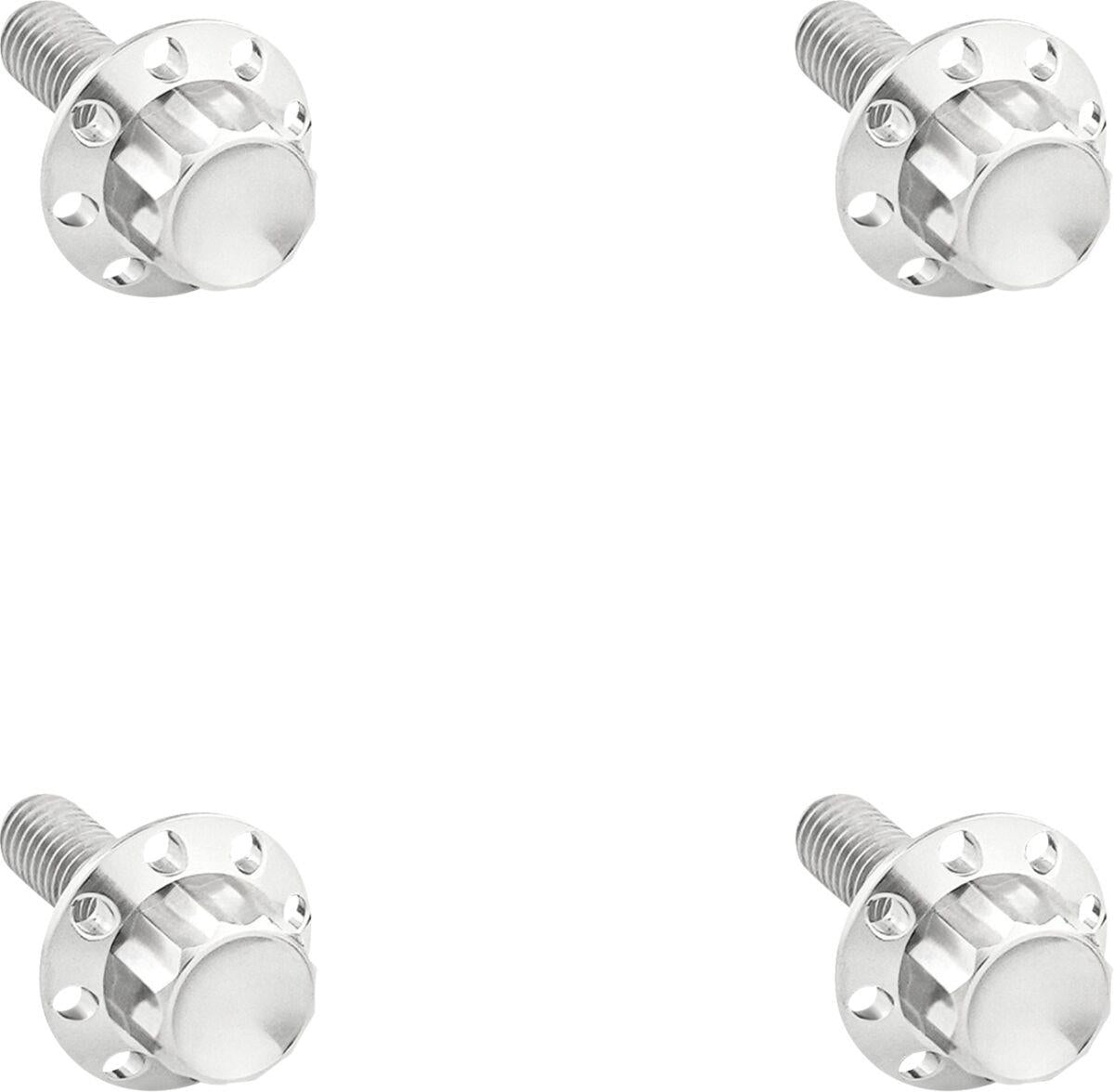 Arlen Ness 12-Point Windshield Bolt Kit Silver Polished Titanium Kit 300-839