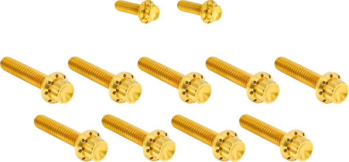 Arlen Ness Cam Cover/Point Cover Titanium 12-Point Bolt Kit Gold 300-934