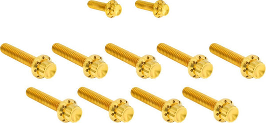 Arlen Ness Cam Cover/Point Cover Titanium 12-Point Bolt Kit Gold 300-934